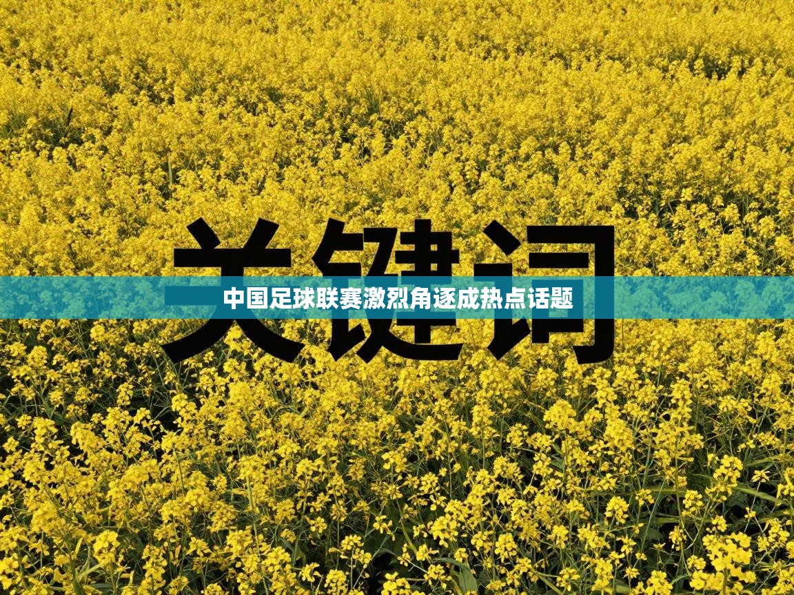 中国足球联赛激烈角逐成热点话题  第1张
