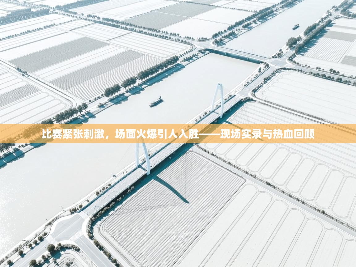 比赛紧张刺激,场面火爆引人入胜——现场实录与热血回顾 第1张