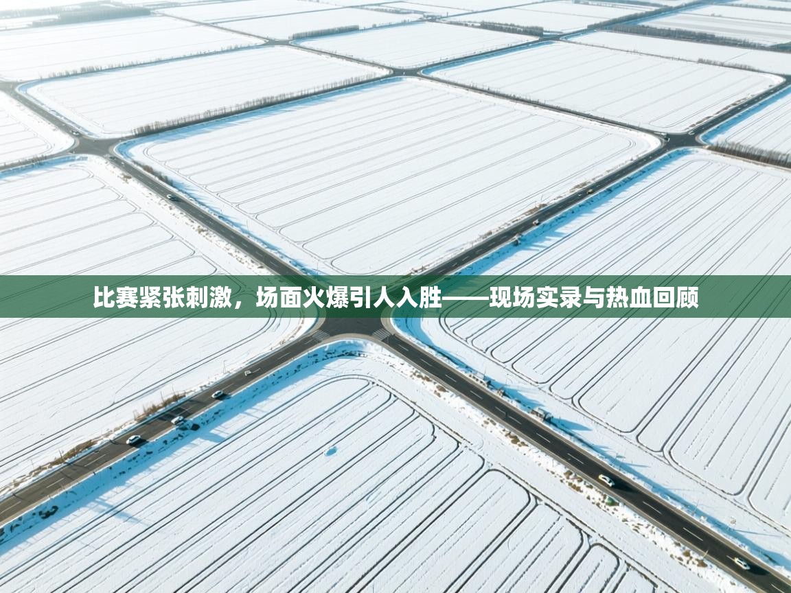 比赛紧张刺激,场面火爆引人入胜——现场实录与热血回顾 第2张