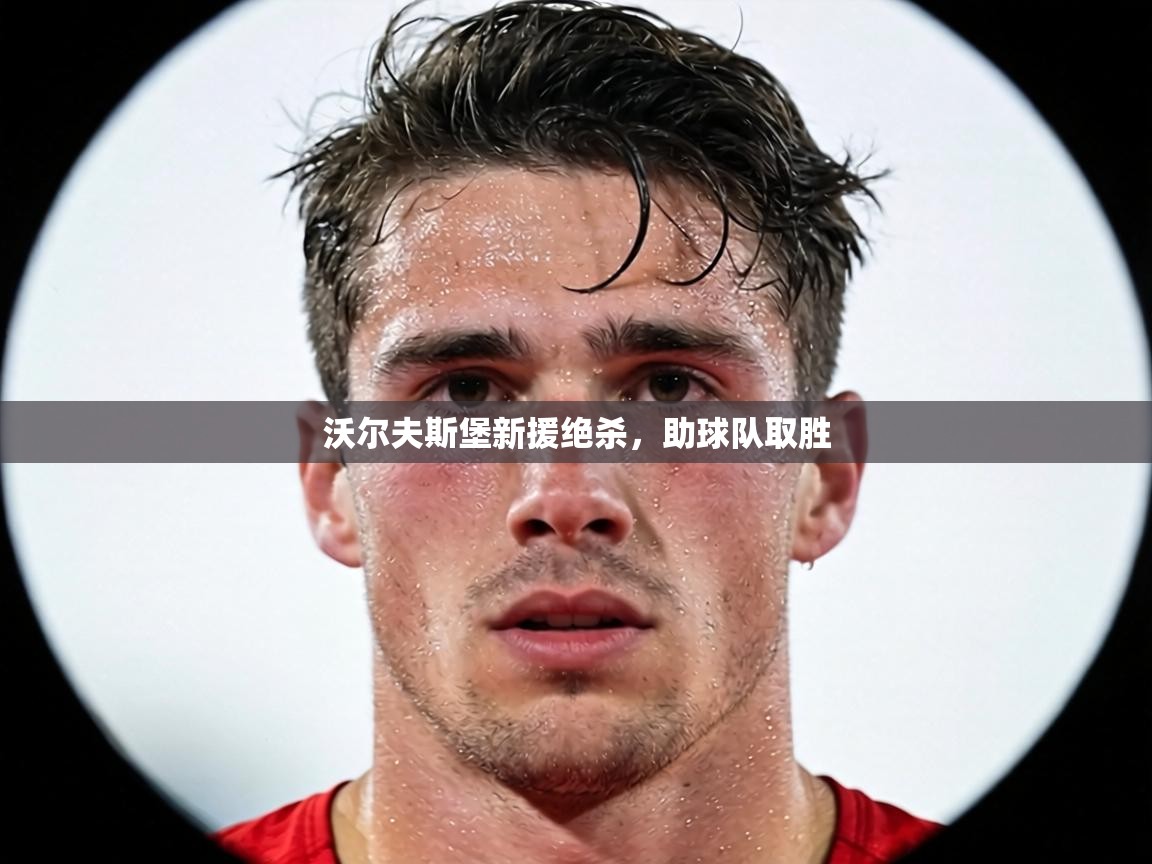 沃尔夫斯堡新援绝杀,助球队取胜 第1张