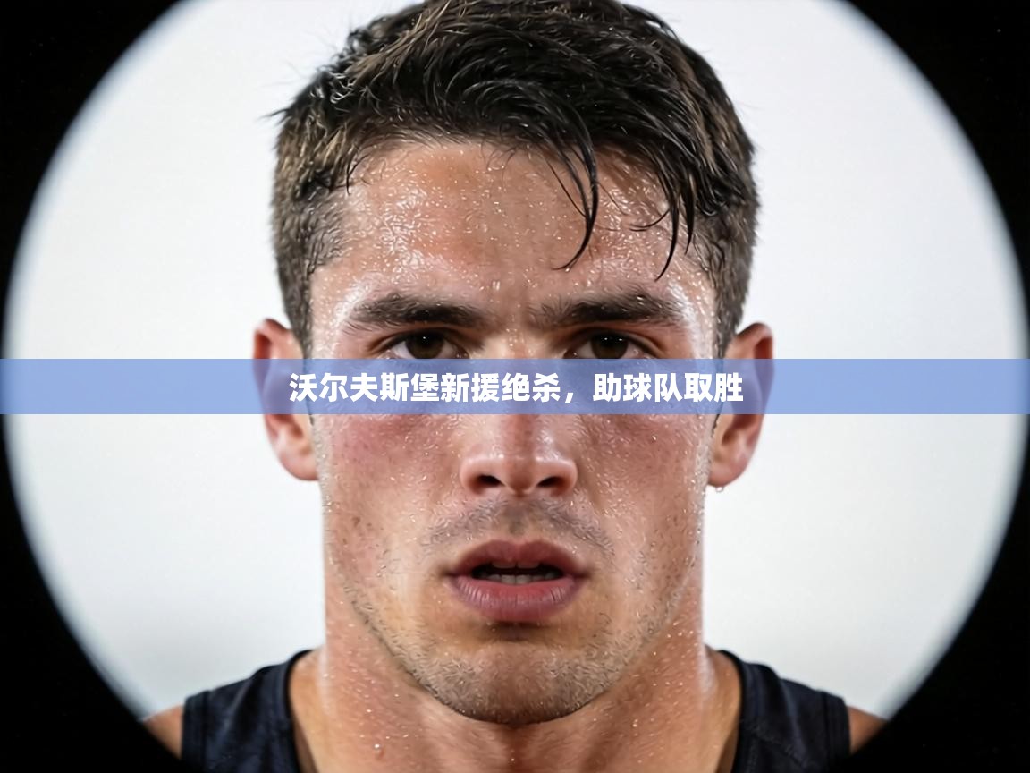 沃尔夫斯堡新援绝杀,助球队取胜 第2张